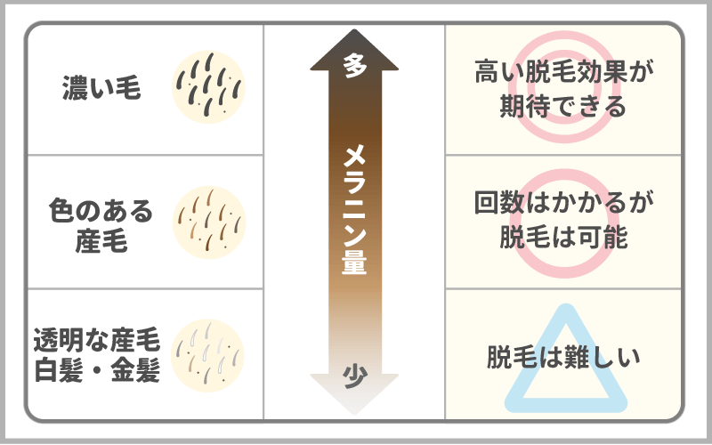 【顔の医療脱毛】産毛は脱毛できる？必要な施術の回数やおすすめの脱毛機とは