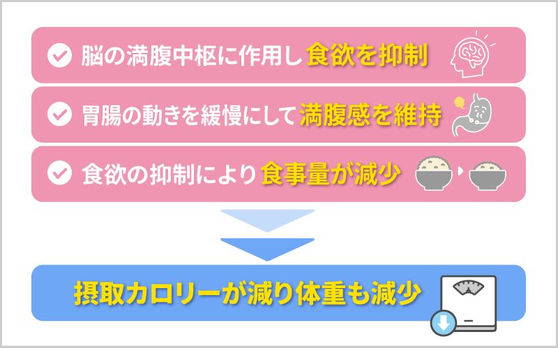 【痩せる仕組み】GLP-1と似た成分の働きで食欲を抑制