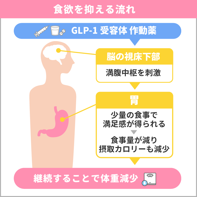 GLP-1ダイエット 効果