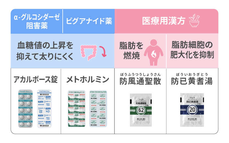 脂肪を減らすダイエット薬は？