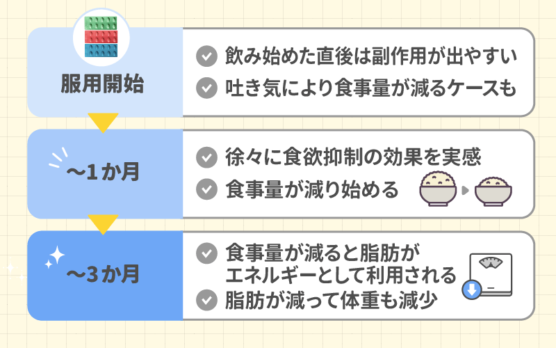 リベルサスのダイエット効果はいつから？1か月以上の継続が必要